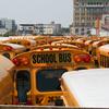 school, bus, buses, transport, coney island